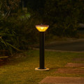 PVB909 BL Tui Night Sky insitu 7 Web Rez v2