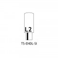 TS ENDL SI Diagram