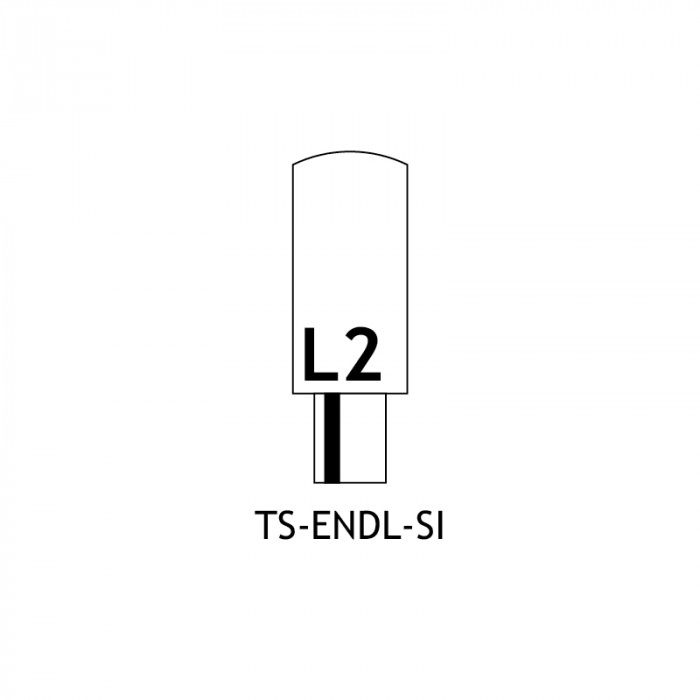 TS ENDL SI Diagram